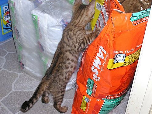 Lancelot Wow look at all the stuff